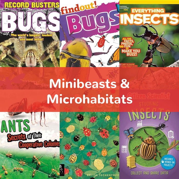 Minibeasts & Microhabitats | KS2 Science