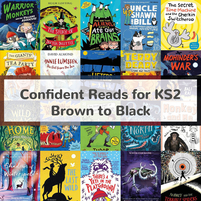 Confident Reads for Fluent Readers in KS2 | Brown to Black Book Bands