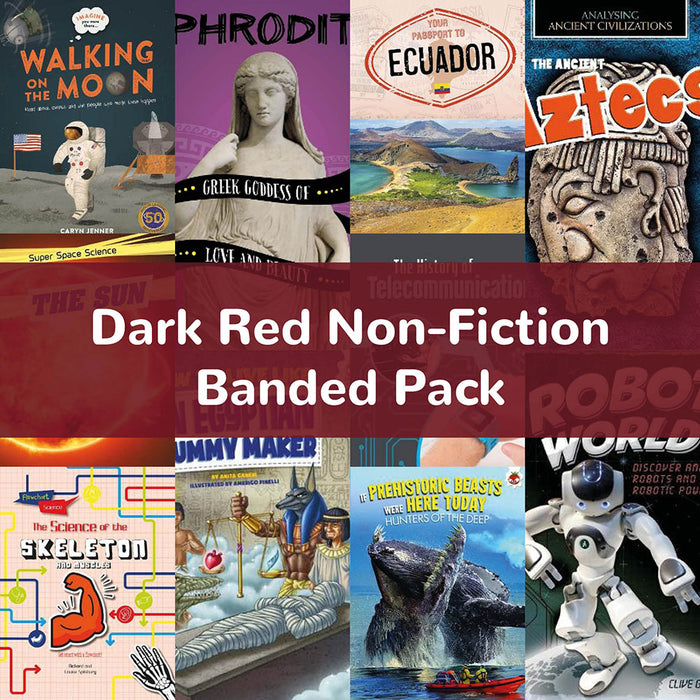 Dark Red Non-Fiction Banded Pack