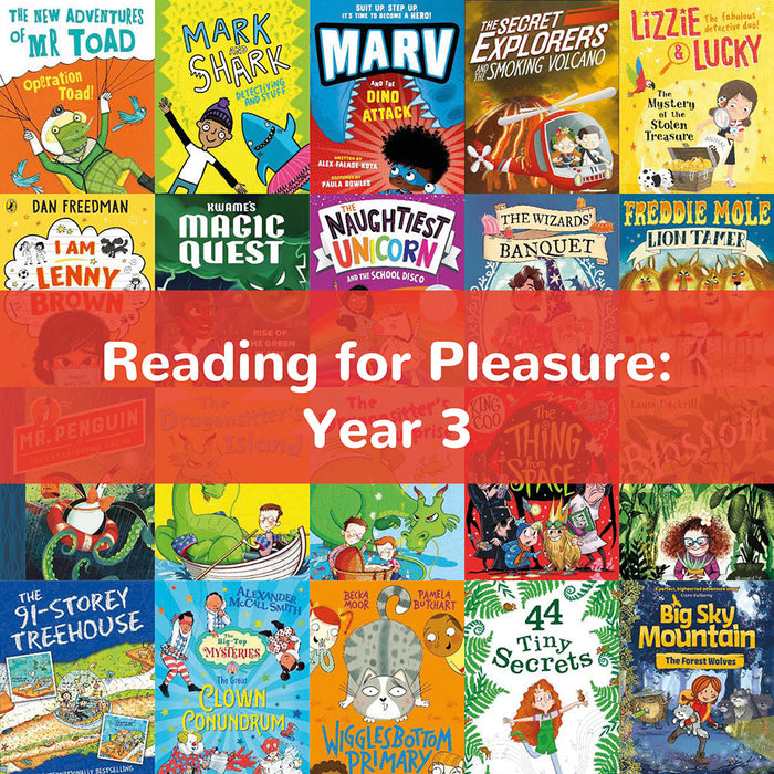 Reading for Pleasure: Year 3