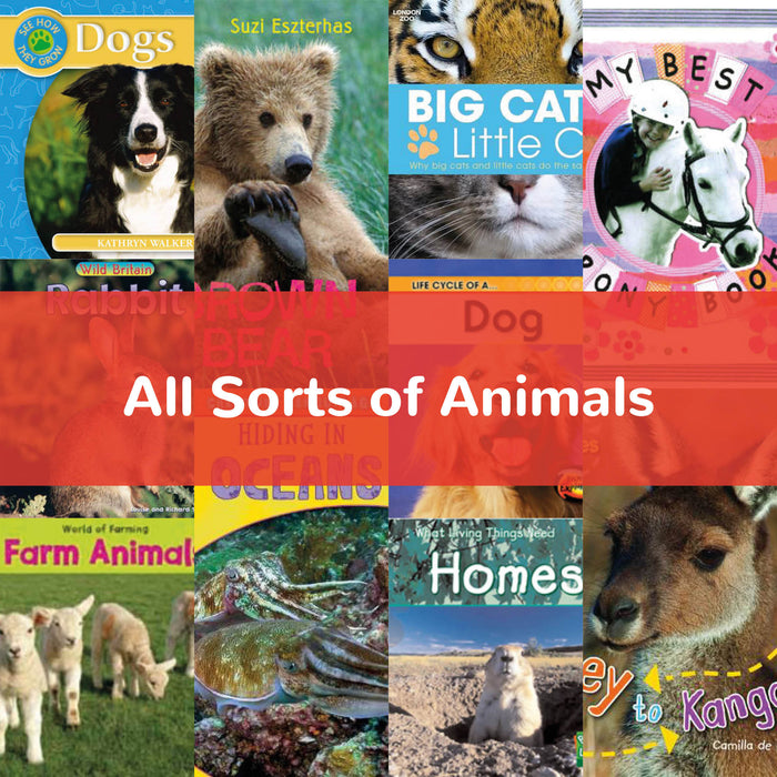 All Sorts of Animals KS1