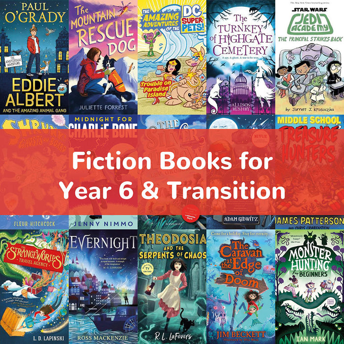 15 Fiction Books for Year 6 & Transition — Perfect Class Gifts!