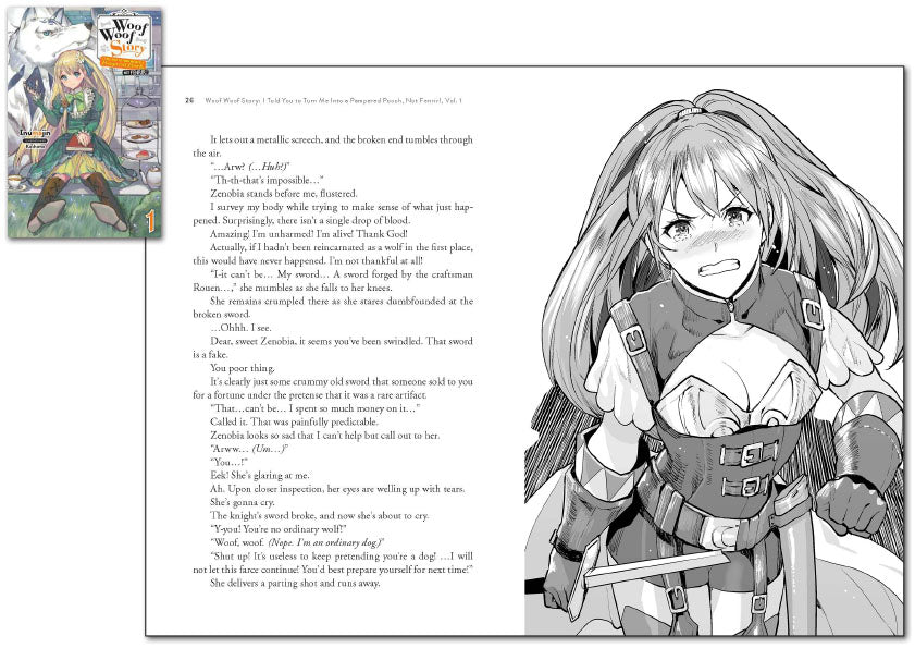 Light Novel Collection
