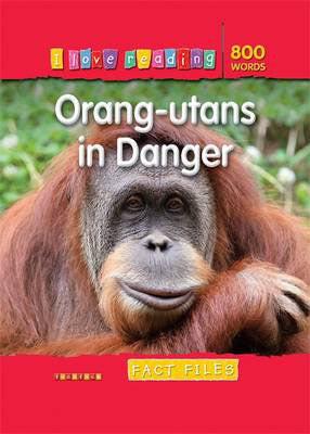Orangutans in Danger