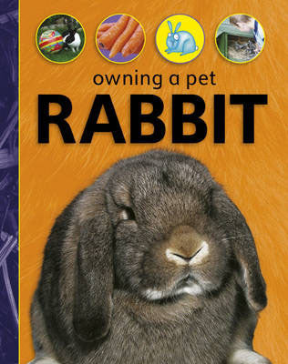 Owning A Pet: Rabbit