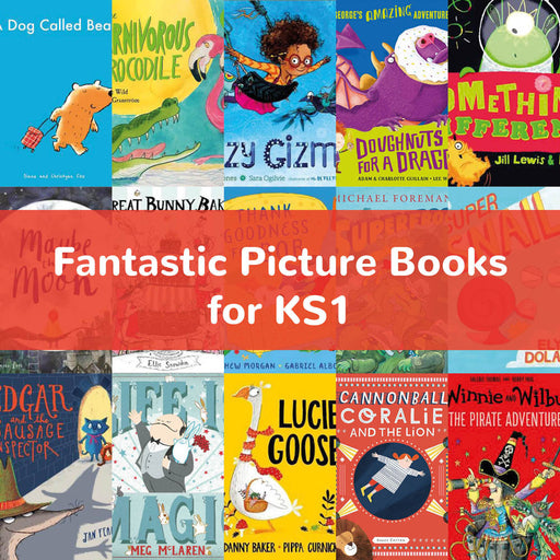 Fantastic Picture Books for KS1
