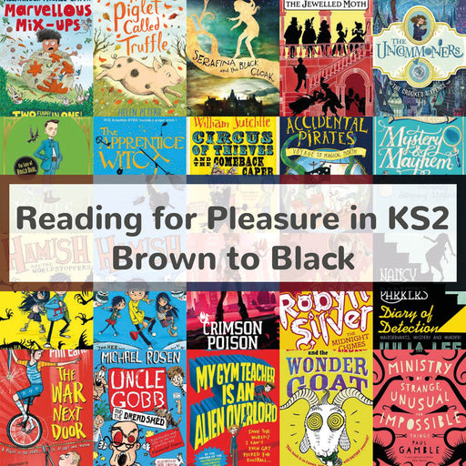 Encouraging Reading for Pleasure in KS2 | Book Bands Brown to Black