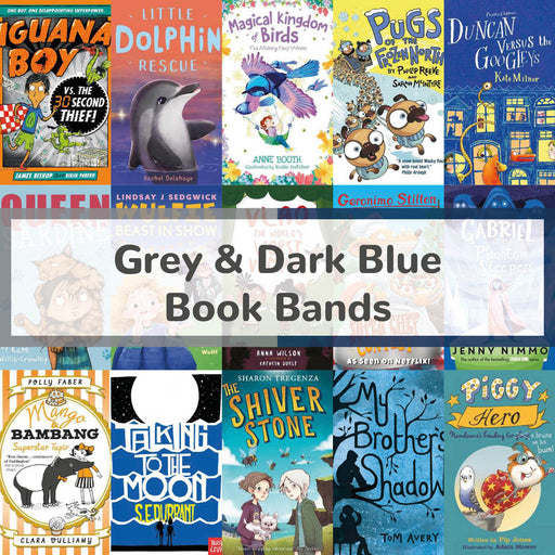 Grey &amp; Dark Blue Book Bands