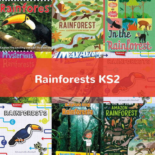 Rainforests KS2