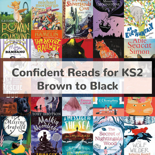 Confident Reads for Fluent Readers in KS2 | Brown to Black Book Bands