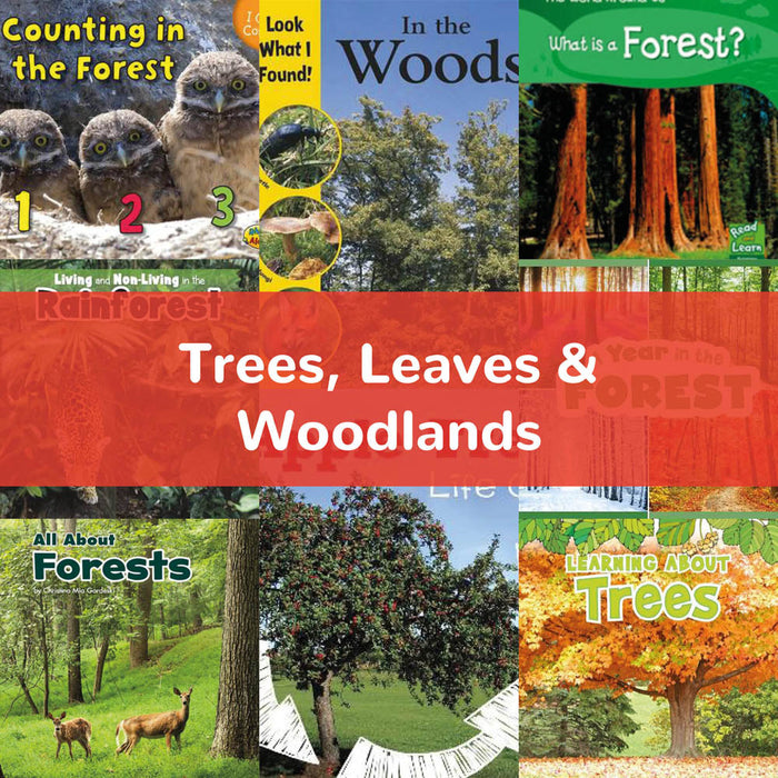Trees, Leaves & Woodlands | KS1 Science
