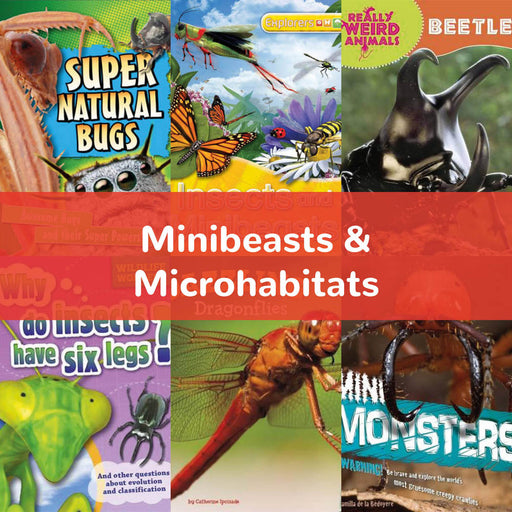 Minibeasts &amp; Microhabitats | KS2 Science