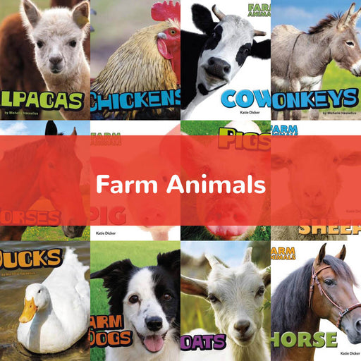 Farm Animals | KS1 Science