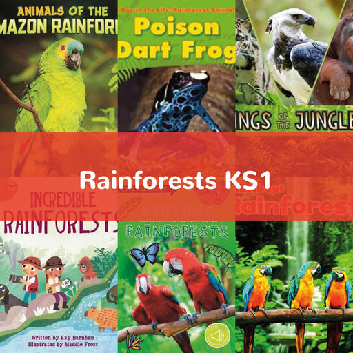 Rainforests KS1