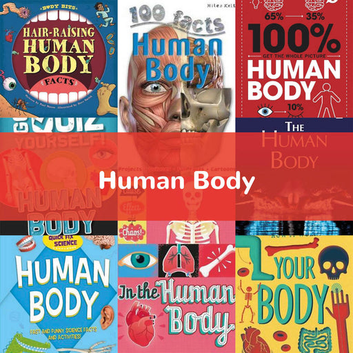 Human Body | KS2 Science