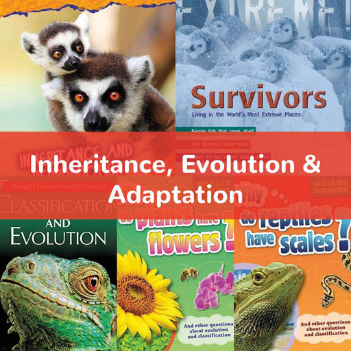 Inheritance, Evolution &amp; Adaptation | KS2 Science