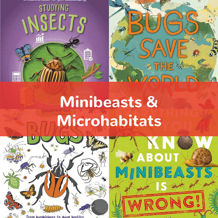 Minibeasts & Microhabitats | KS2 Science