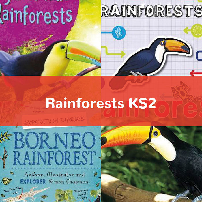 Rainforests KS2