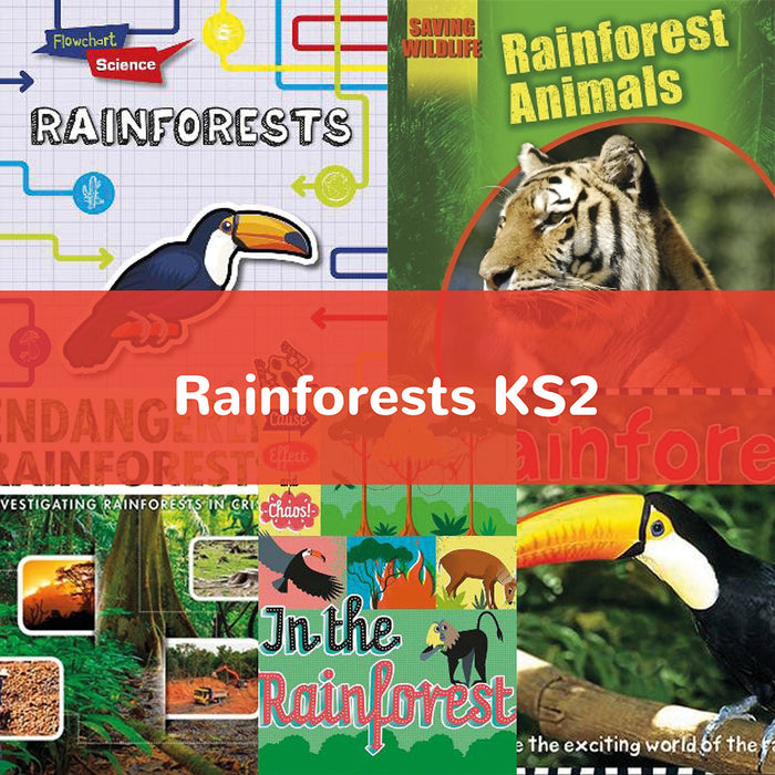 Rainforests KS2