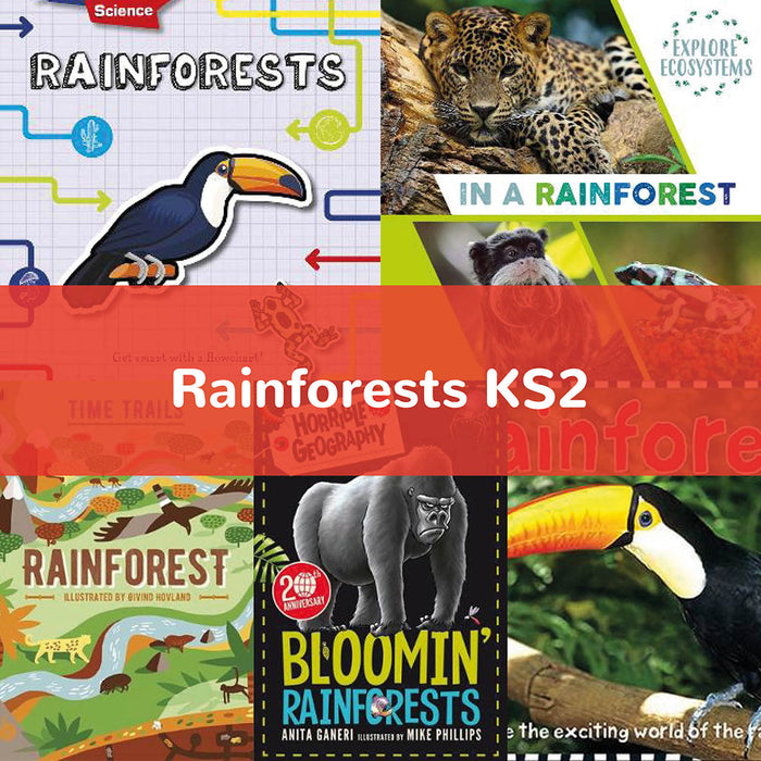 Rainforests KS2