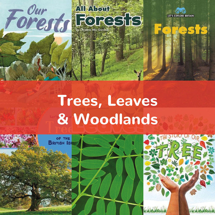 Trees, Leaves & Woodlands | KS1 Science