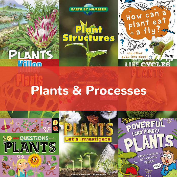Plants & Processes | KS2 Science
