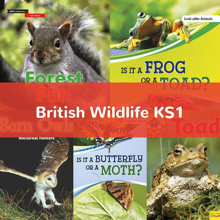 British Wildlife KS1
