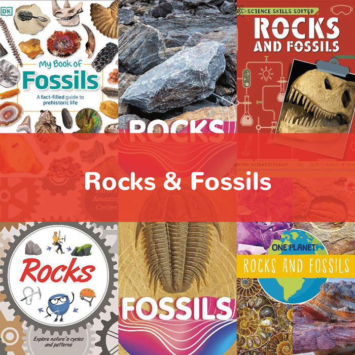 Rocks & Fossils KS2