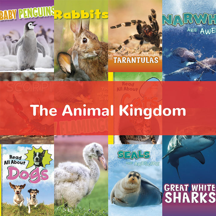 The Animal Kingdom | KS1