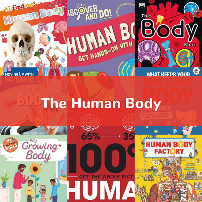 The Human Body | KS2 Science