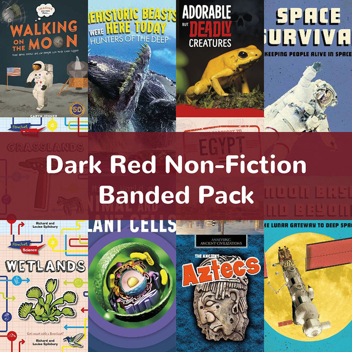 Dark Red Non-Fiction Banded Pack