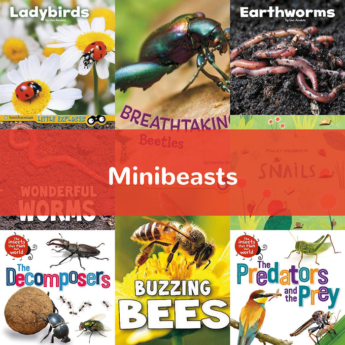 Minibeasts | KS1 Science