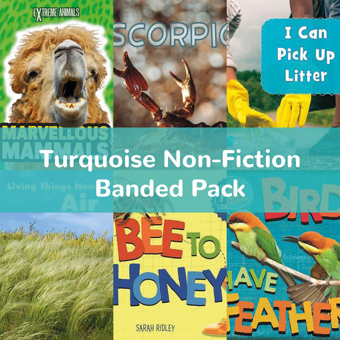 Turquoise Non-Fiction Banded Pack