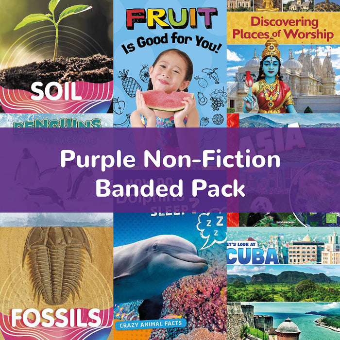 Purple Non-Fiction Banded Pack