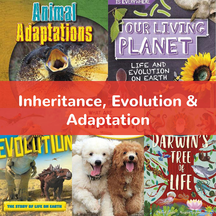 Inheritance, Evolution & Adaptation | KS2 Science