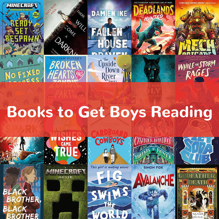 Bargain Books to Get Boys Reading in Secondary School