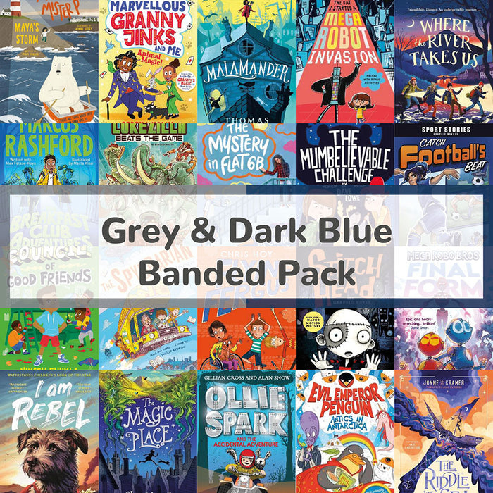 Grey & Dark Blue Book Bands