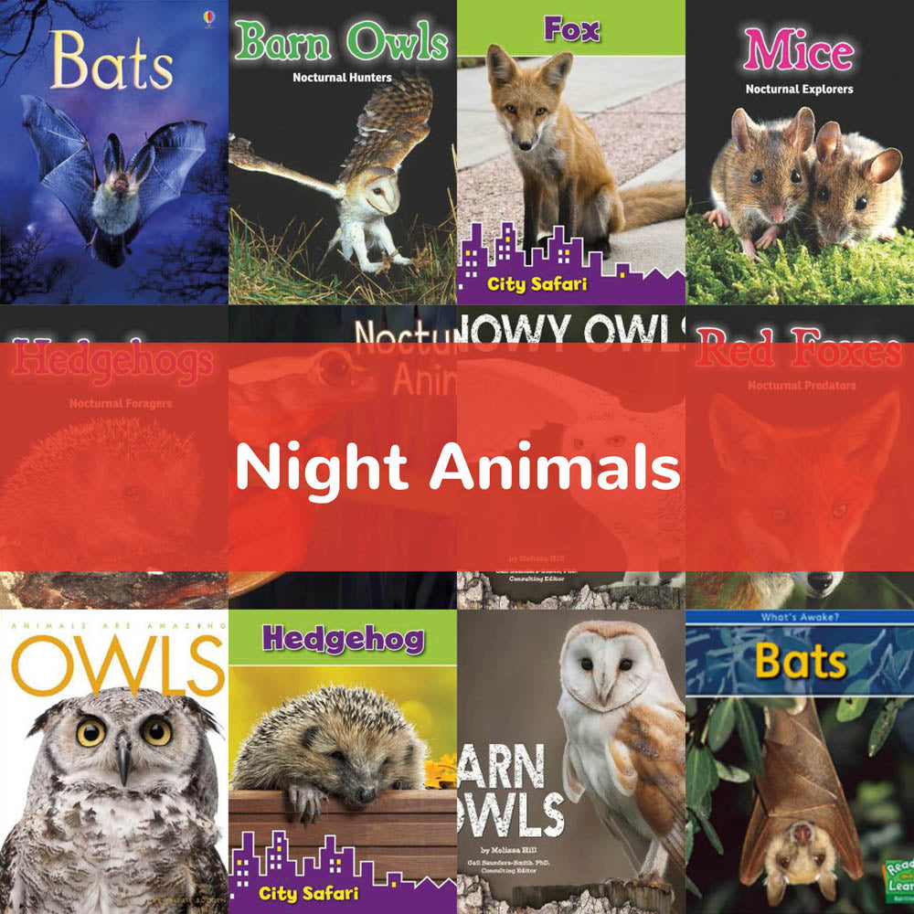Night Animals KS1 Science — School Bargain