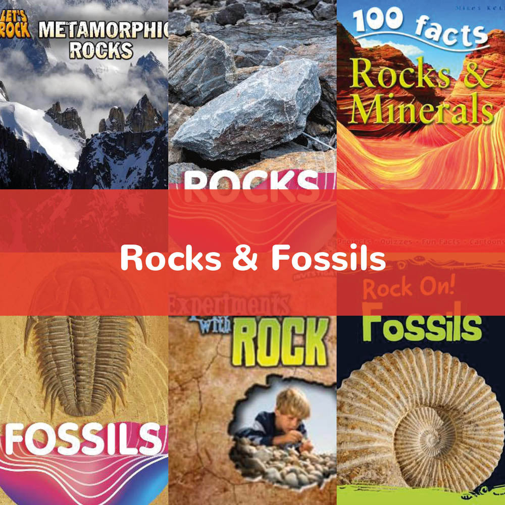 Rocks & Fossils KS2 — School Bargain